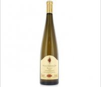 Agathe Bursin - Grand Cru Zinnkoepflé Vendanges tarvives