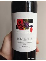 Enate - Tempranillo-Merlot
