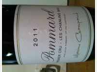 Maxime Champaud - 1er cru Les Chanlins bas