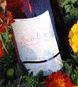 Vignoble de l’Ecasserie