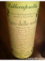 Collecapretta - Pigro delle Sorbe