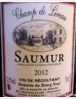 Domaine du Bourg Neuf - Champ de Liveau