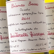Giuseppe Quintarelli - Leceo
