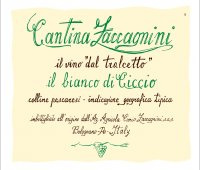 Cantina Zaccagnini - Il Bianco di Ciccio