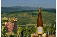 Welty - Grand Cru Pfingstberg