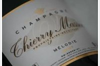 Thierry Massin - Mélodie Brut