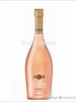Martini - Bellini - Vine Peach