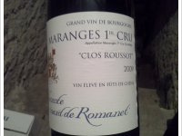 Vicomte Bernard de Romanet - 1er cru clos Roussot