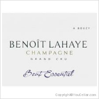 Benoît Lahaye - Brut Essentiel