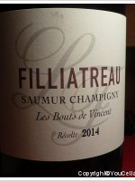 Lena Filliatreau - Les bouts de Vincent