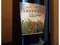 Pascal Jolivet - Sauvage