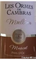 Les Ormes de Cambras - Muscat 