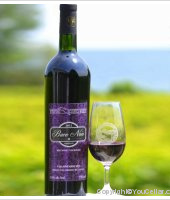 Waupoos Estates Winery - Baco Noir Reserve