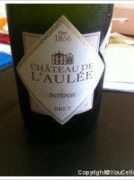 Château de l'Aulée - Brut
