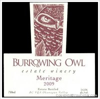 Burrowing Owl - Meritage