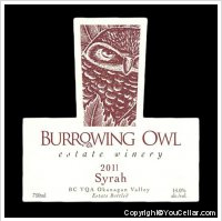 Burrowing Owl - Syrah