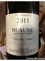 Baptiste Guyot - Clos du Foulot