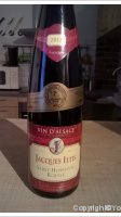 Jacques Iltis