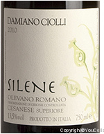 Damiano Ciolli - Silene - Superiore