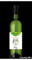 Blanc de kiwi