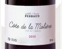 Isabelle et Bruno Perraud - Côte de la Molière