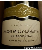 Château des Bois - Mâcon-Milly-Lamartine