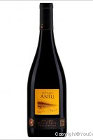 Antu - Grenache-Syrah-Carignan