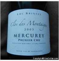Domaine Brintet - 1er Cru Clos des Montaigus