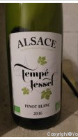 Tempé Jessel
