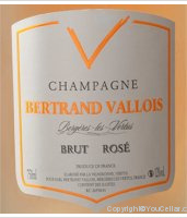 Bertrand Vallois - Brut