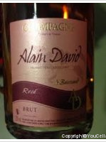 Alain David - Brut