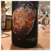 Vignoble du Rêveur - Singulier