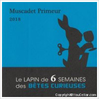Le lapin de 6 semaines des bêtes curieuses