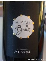 Jean-Baptiste Adam - Muscat Bulles