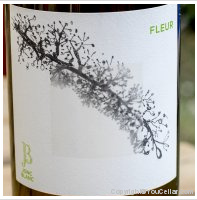 Jonc Blanc - Fleur
