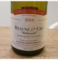Domaine Dubois d'Orgeval - 1er cru Belissand