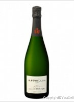 R. Pouillon - Les Terres Froides