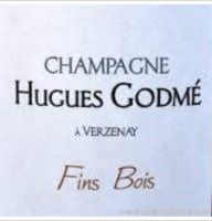 Hugues Godmé - Fins Bois