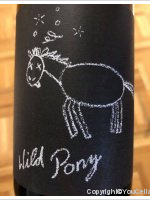 Bianka et Daniel Schmitt - Wild pony