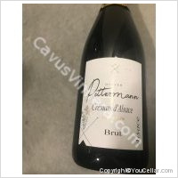 Didier Pettermann - Tentation - Brut
