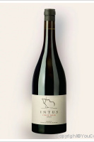 Intus Pinot Noir - Graubünden