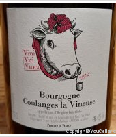 Vini Viti Vinci