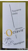 Domaine Octavie - Sauvignon blanc